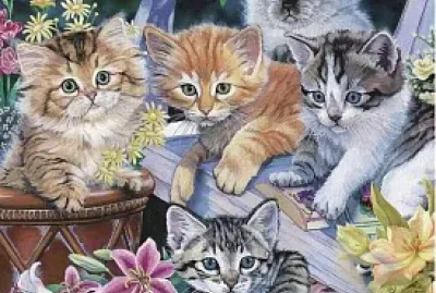 Petits chats et fleurs