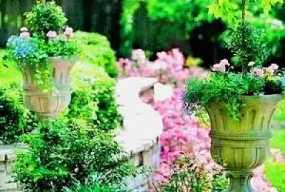 jardín