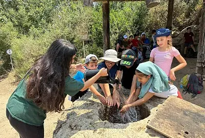 שכבה ג