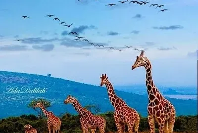 imagem jigsaw puzzle