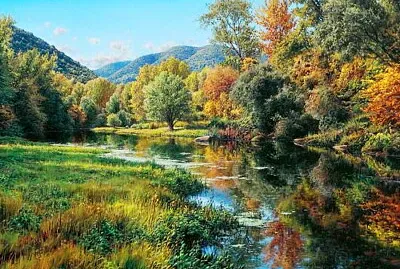 Bosque