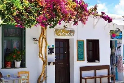 Bar Campestre