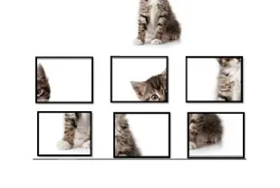 CAT PUZZLE