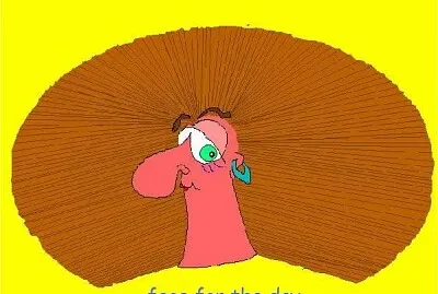 Face for the day June 23 2023