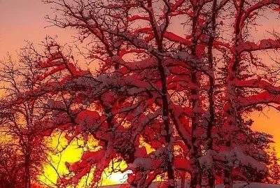 פאזל של imagem