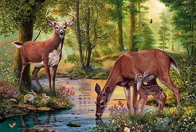 Venados jigsaw puzzle