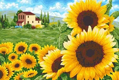 Girasoles