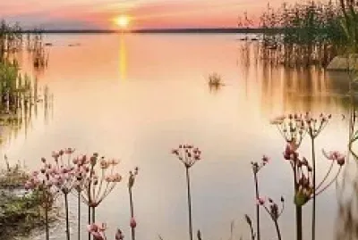 Atardecer jigsaw puzzle