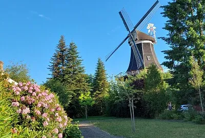 Windmühle Stapelmoor jigsaw puzzle