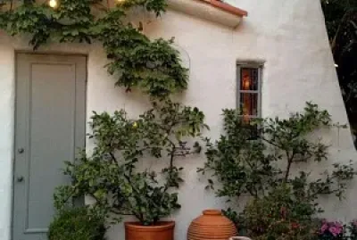 Masetas de patio