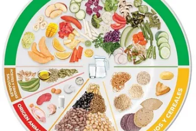 PLATO DEL BIEN COMER