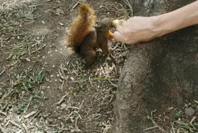 ENCANTADA DE ALIMENTARLA