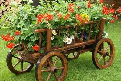 jardim