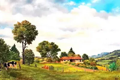 Campo
