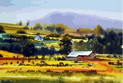 Campo