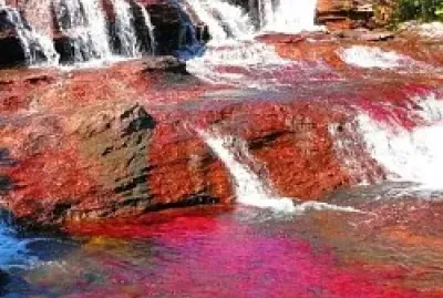Caño Cristales, Colombia