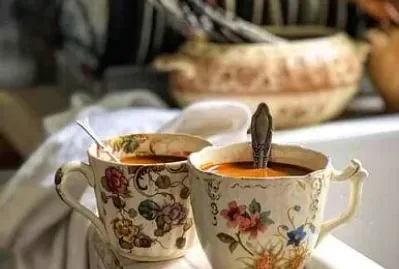 tazas