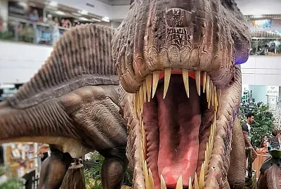 moradia jigsaw puzzle