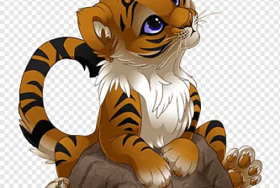 Tigre naranja en una piedra