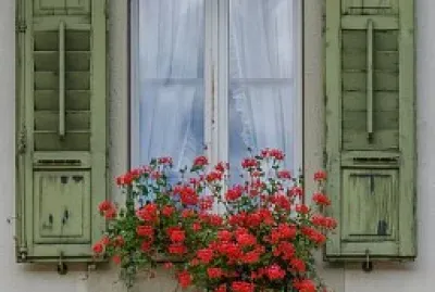 flores