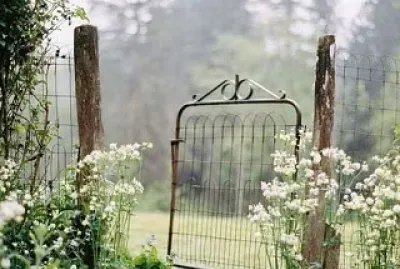 puerta jigsaw puzzle