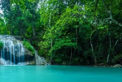 Nature jigsaw puzzle