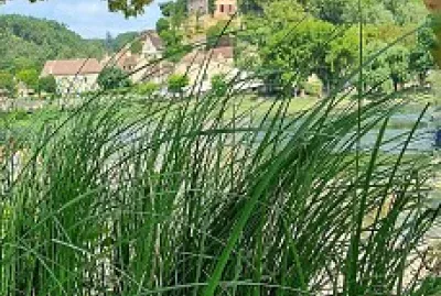 Paysage