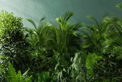 Nature jigsaw puzzle