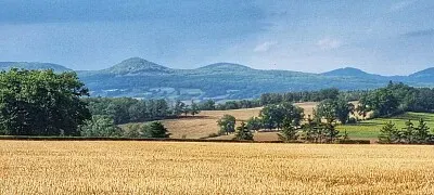 Paysage jigsaw puzzle