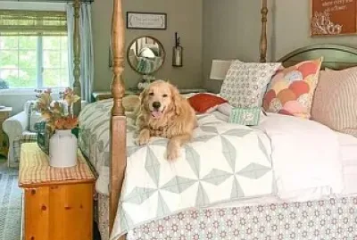 perro