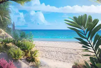 Playa