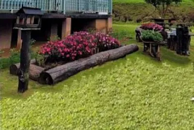 gramado