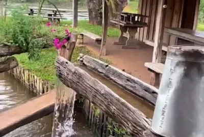 refugio