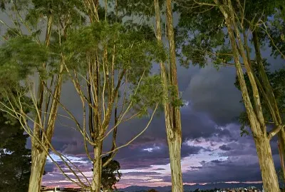 Colores de la naturaleza