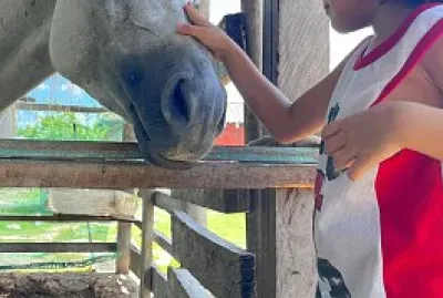 פאזל של HOLA  AMIGO