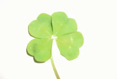 natura
