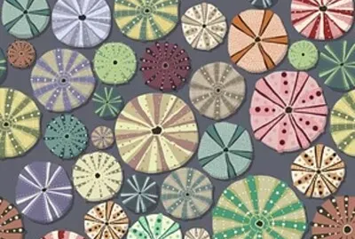 פאזל של sand dollars