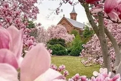 Flores jigsaw puzzle