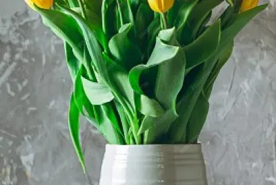 tulip jigsaw puzzle