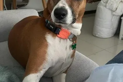 Vicenta