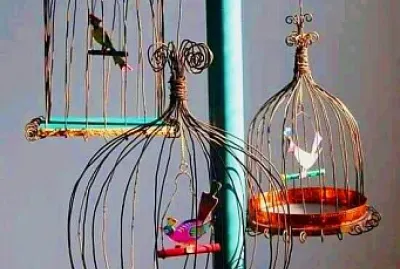 pajarera jigsaw puzzle