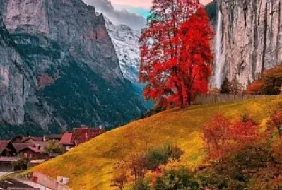 Paisaje jigsaw puzzle