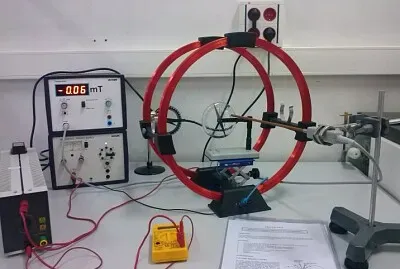 monte a vontade jigsaw puzzle