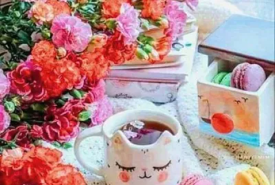 taza jigsaw puzzle