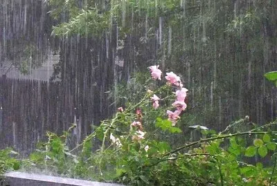 lluvia jigsaw puzzle