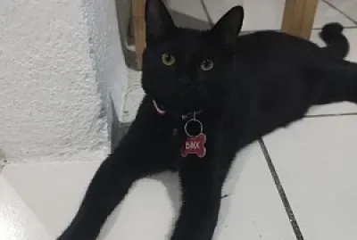 Mi hijo amado