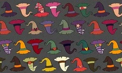 פאזל של hats