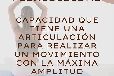 DEFINICIÓN FLEXIBILIDAD