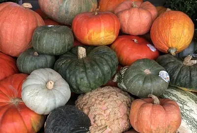 פאזל של Autumn pumpkins piled high