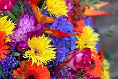 Flores